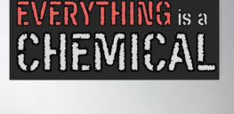Viewpoint: Challenging the 'appeal to nature' fallacy — Arsenic is natural, acetaminophen is synthetic, everything is a chemical